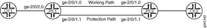 Connection Protection Enabled Between Router PE1 and Router PE2