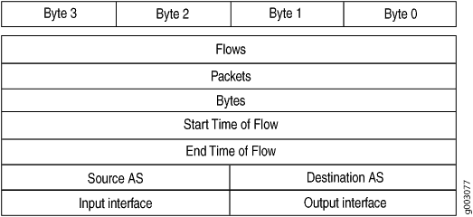 Version 8 AS Aggregation Flow Entry Format