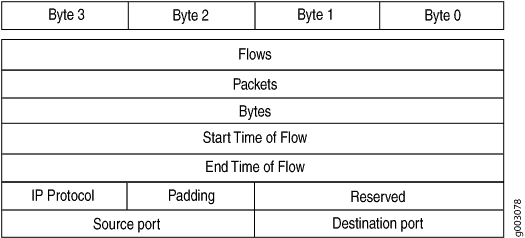 Version 8 Protocol/Port Aggregation Flow Entry Format