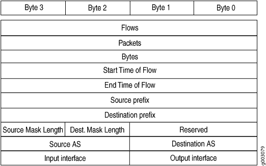 Version 8 Prefix Aggregation Flow Entry Format