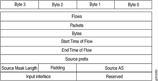 Version 8 Source Prefix Aggregation Flow Entry Format
