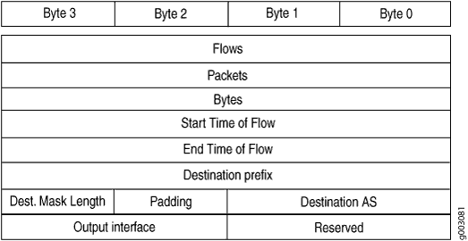 Version 8 Destination Prefix Aggregation Flow Entry Format