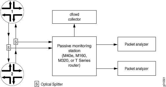 Passive Flow Monitoring Application Topology