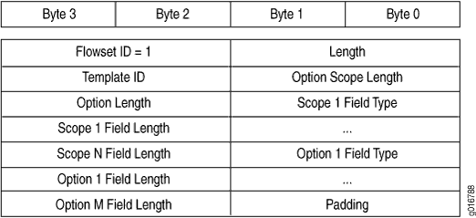 Version 9 Options Template Format