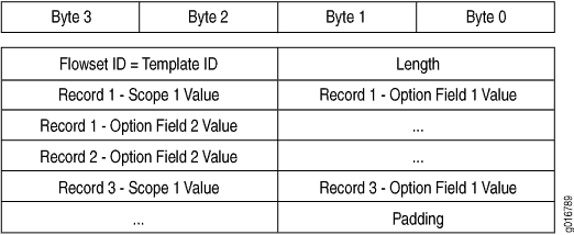 Active Flow Monitoring Version 9 Options Data Record Format