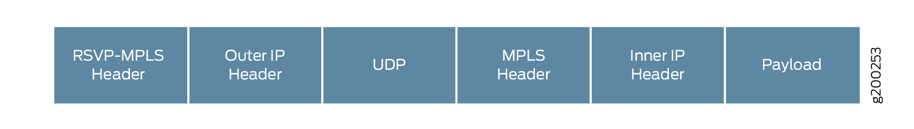 MPLS-over-UDP in RSVP-TE LSP Packet