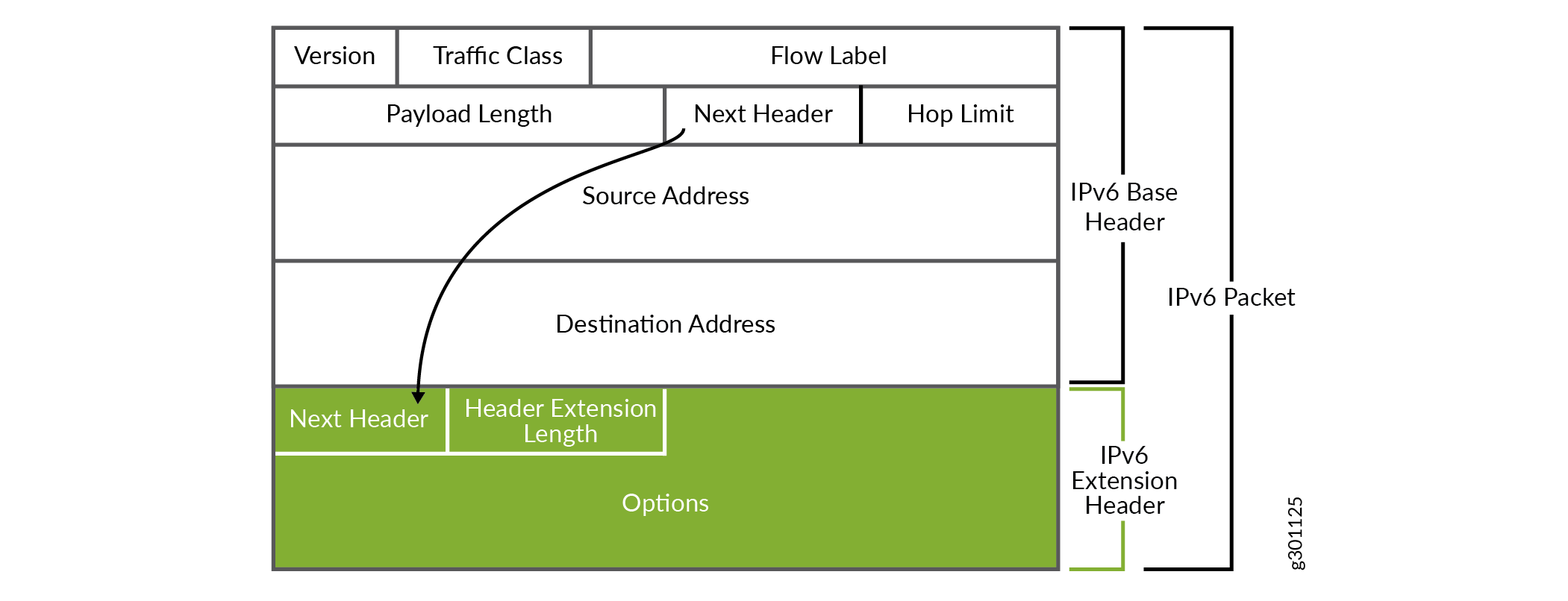 IPv6 Extension Header