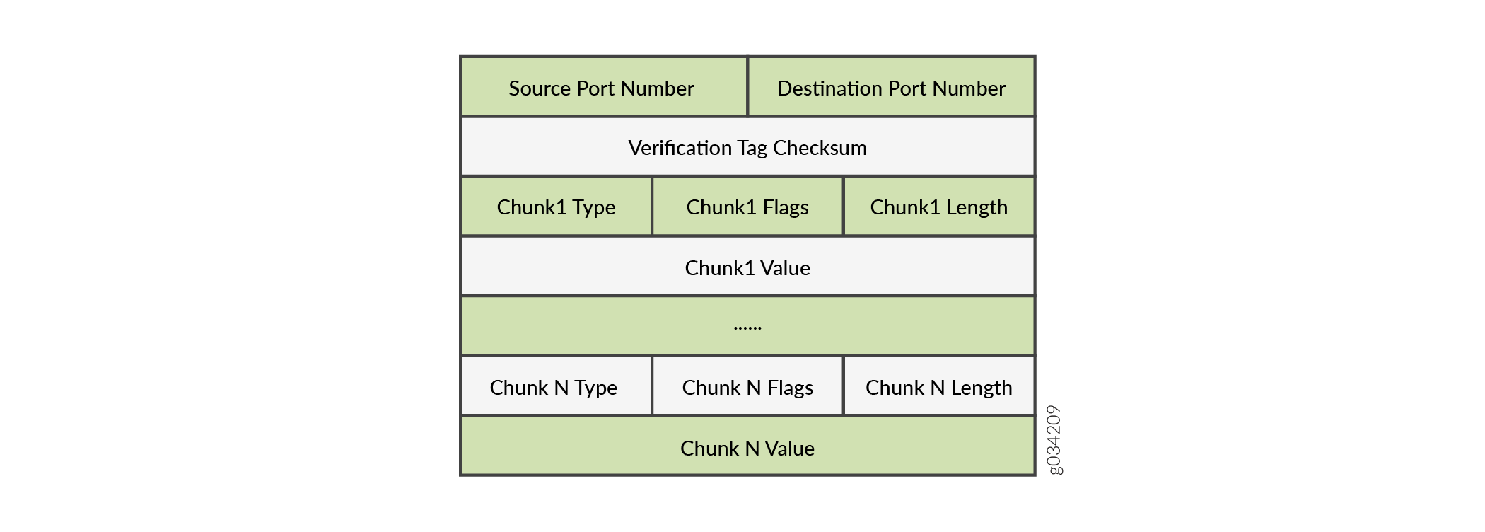 SCTP Packet Structure