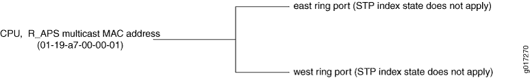 Protocol Packets from the Router or Switch to the Network