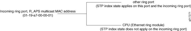 Protocol Packets from the Network to the Router