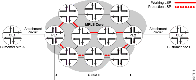 Topology of a Network Using VPWS Psuedowires