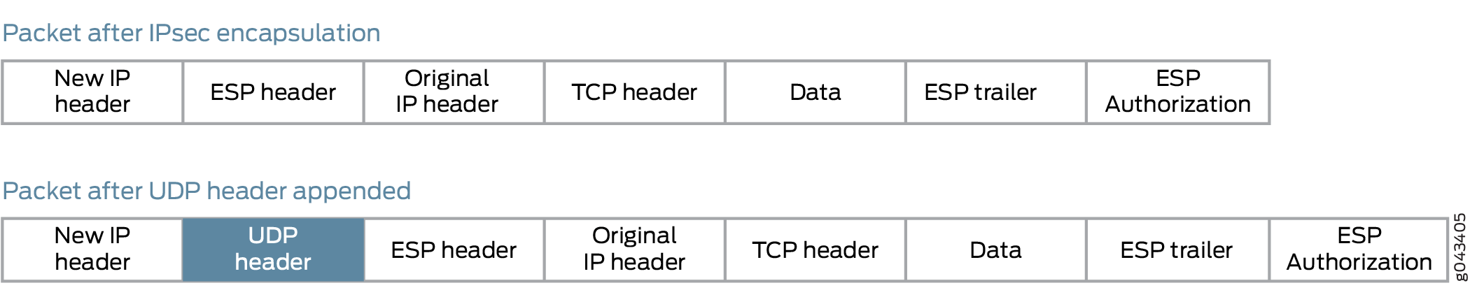 Appended UDP Header
