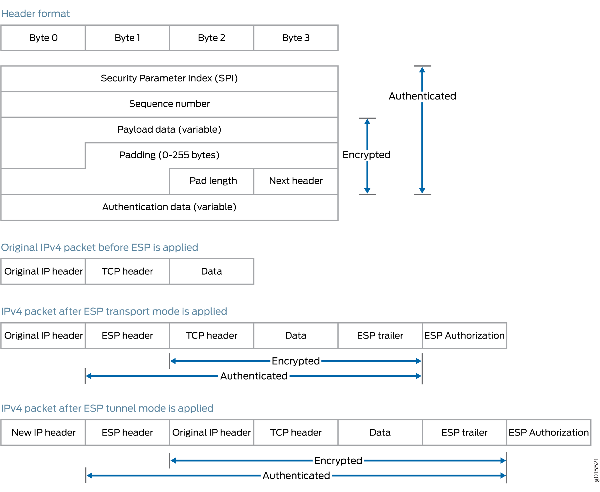 ESP Protocol