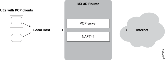 Basic PCP NAPT44 Topology