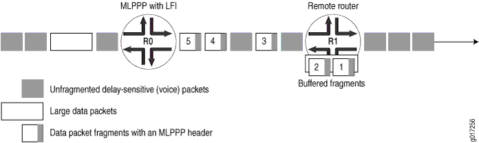 LFI on a Services Router
