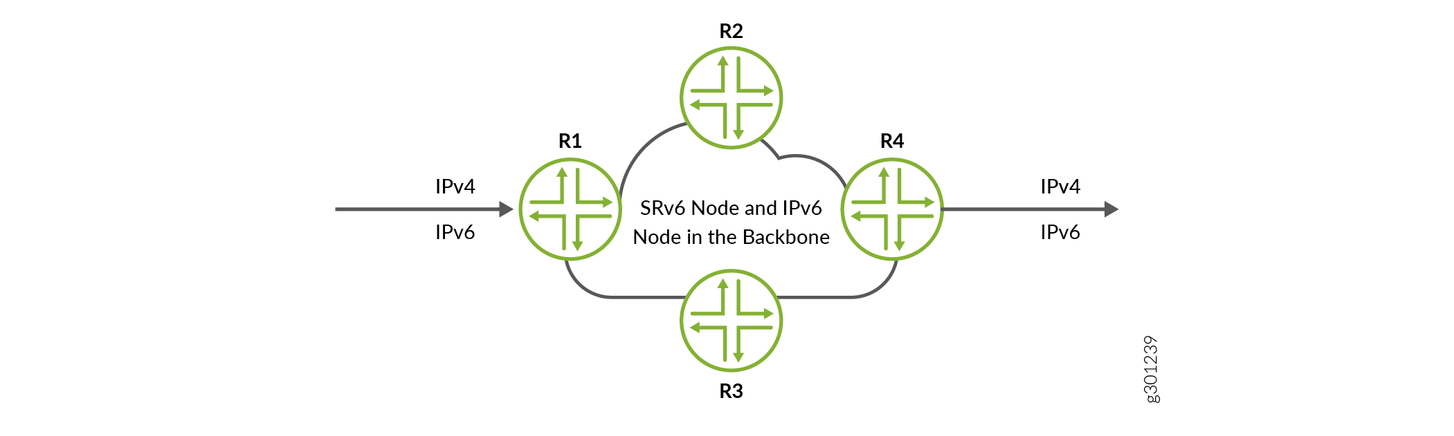 SRv6 Network Programming Overview
