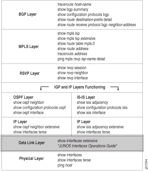 Checking the Data Link Layer