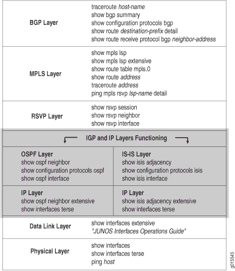 IP and IGP Layers