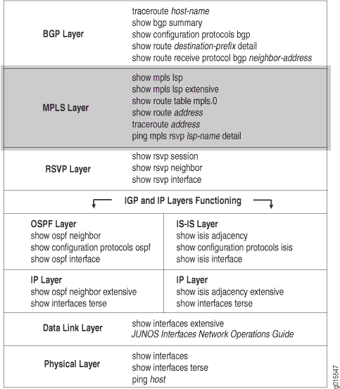 Checking the MPLS Layer