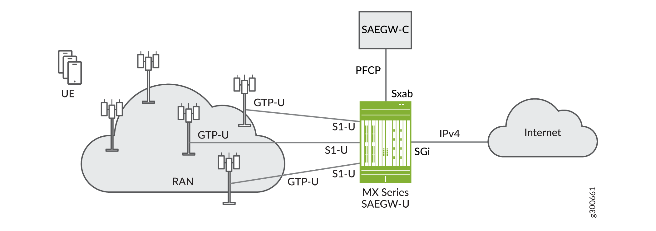 Junos Multi- Access User Plane SAEGW-U