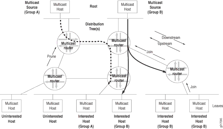 Multicast Terminology in an IP Network