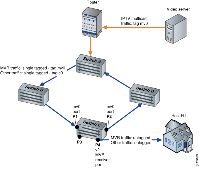 MVR Topology in Proxy Mode