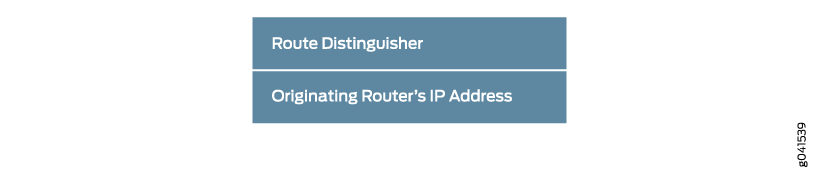 Intra-AS I-PMSI AD Route Type MCAST-VPN NLRI Format