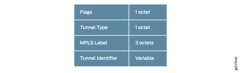 PMSI Tunnel Attribute Format