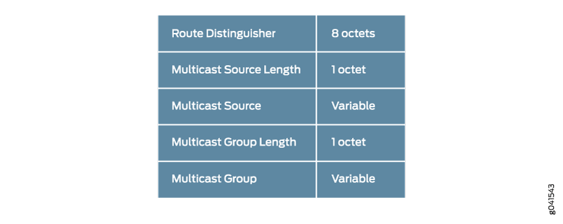 Source Active Autodiscovery Route Type MCAST-VPN NLRI Format