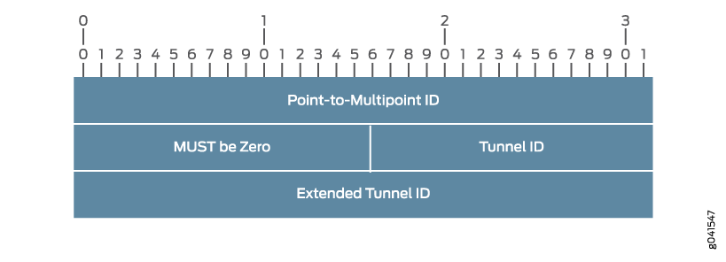 RSVP-TE Point-to-Multipoint Session Object Format