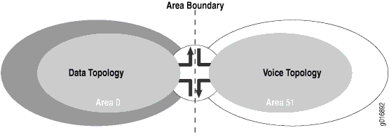 MTR-OSPF Area Boundary