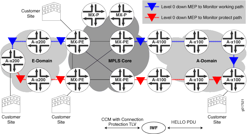 Topology of CET network