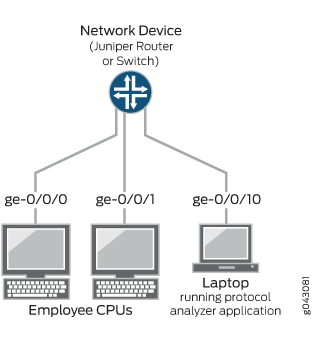 Network Topology for Local Port Mirroring Example