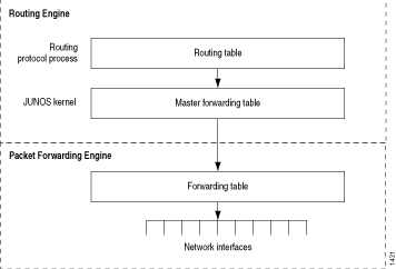 Synchronizing Routing Exchange Between the Routing and Forwarding Tables
