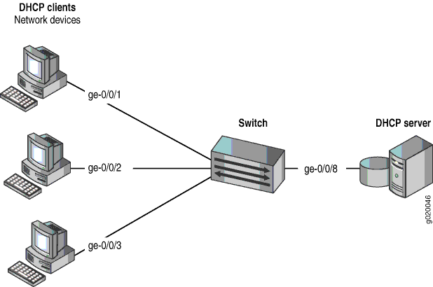 Network Topology for Configuring DHCP Option 82 on a Switch That Is on the Same VLAN as the DHCP Clients and the DHCP Server