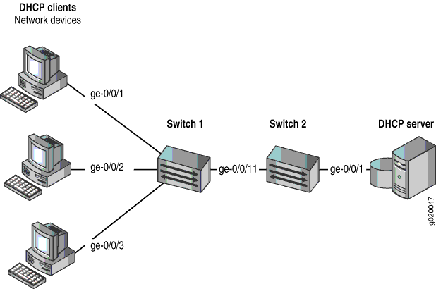 DHCP Server Connected Directly to Switch 2, with Switch 2 Connected to Switch 1 Through a Trusted Trunk Port