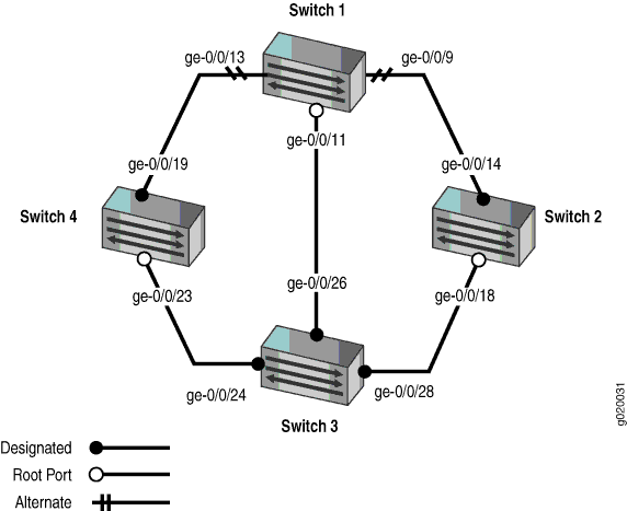 Network Topology for RSTP