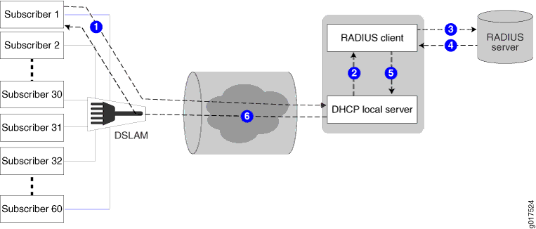 DHCP Options Data Flow