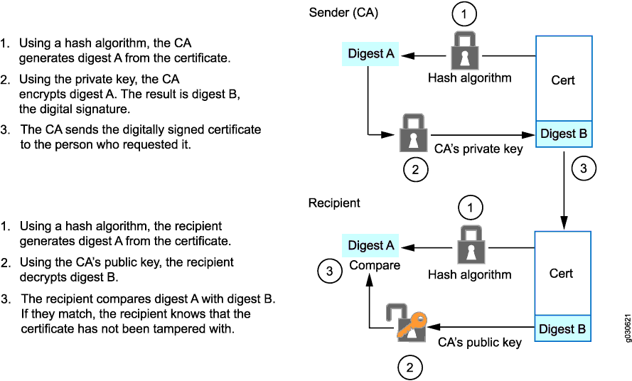 crypto pki certificate pool