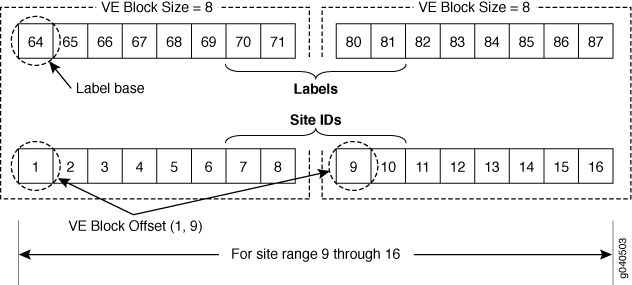 VPLS Label Block Structure