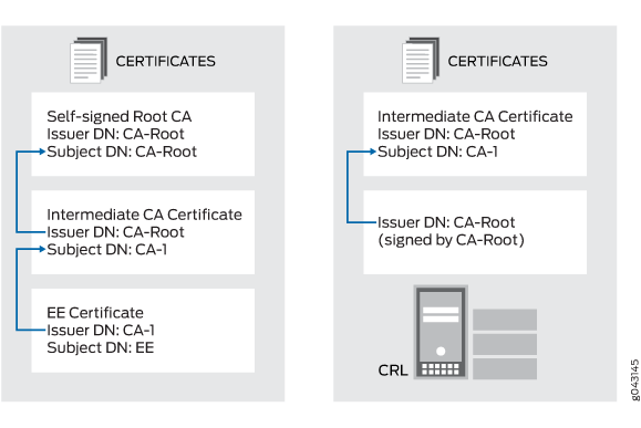 Issuer and Subject DN Validation