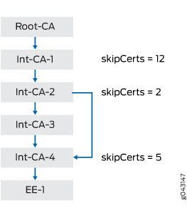 Policy Validation with skipCerts Field