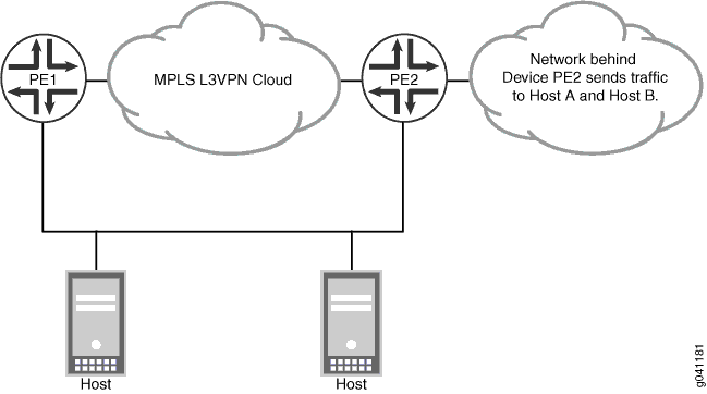 Host Fast Reroute