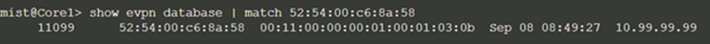 Check MAC-Address