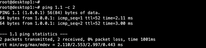 Ping Internet from Client1