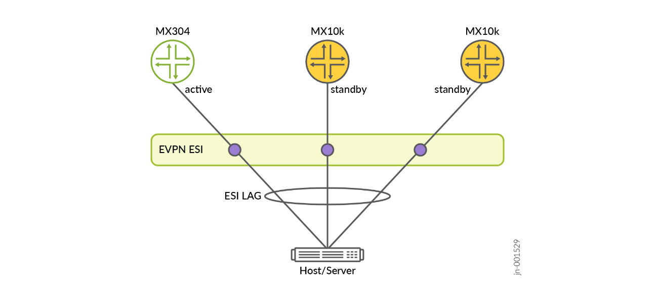 EVPN ESI LAG in Multi-homing environment