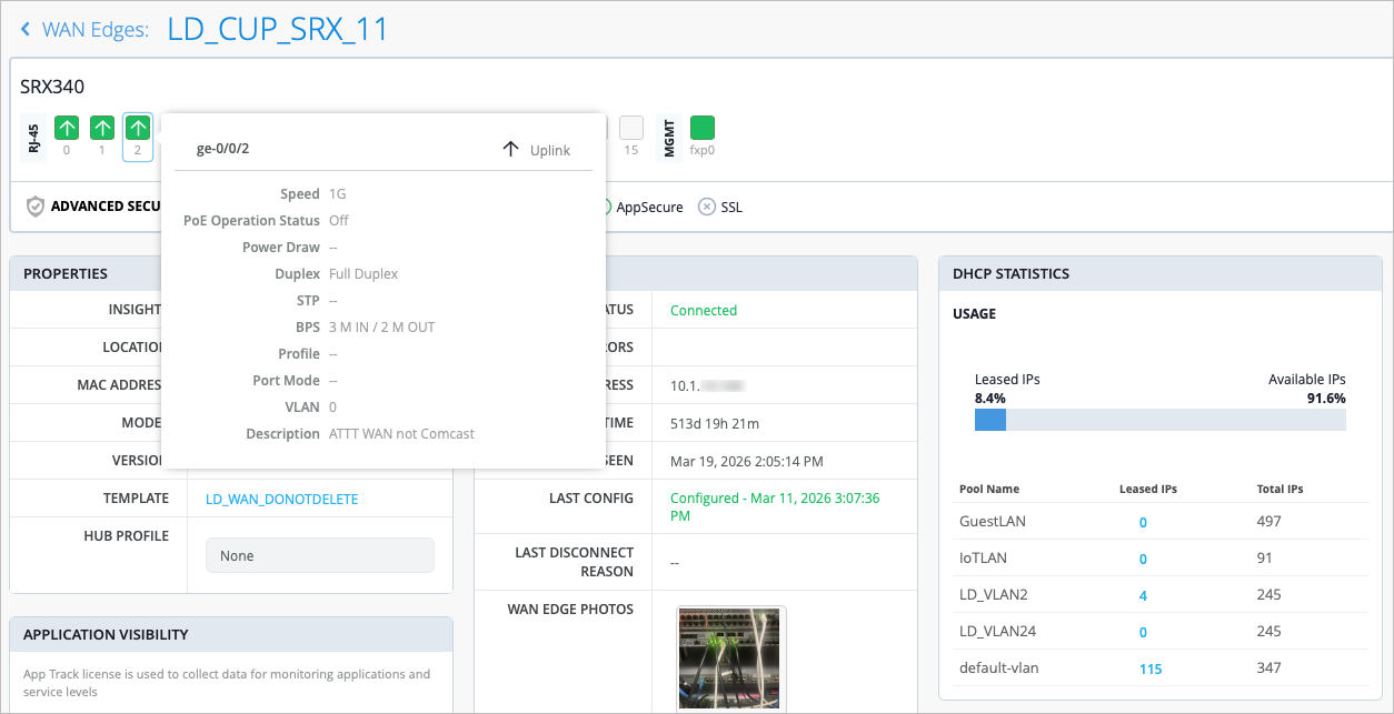 WAN Edge Device Information Page - Details