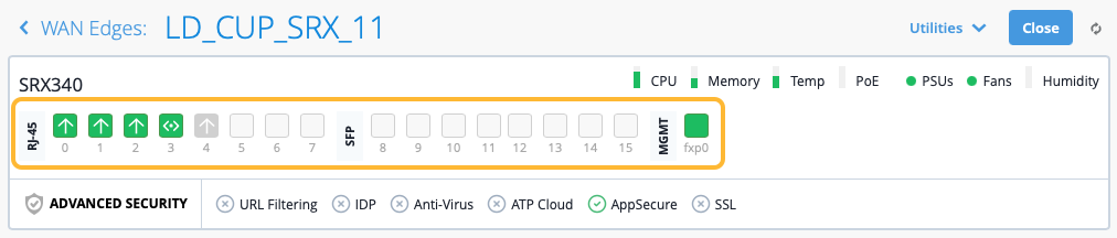 WAN Edges Device Information - Interfaces