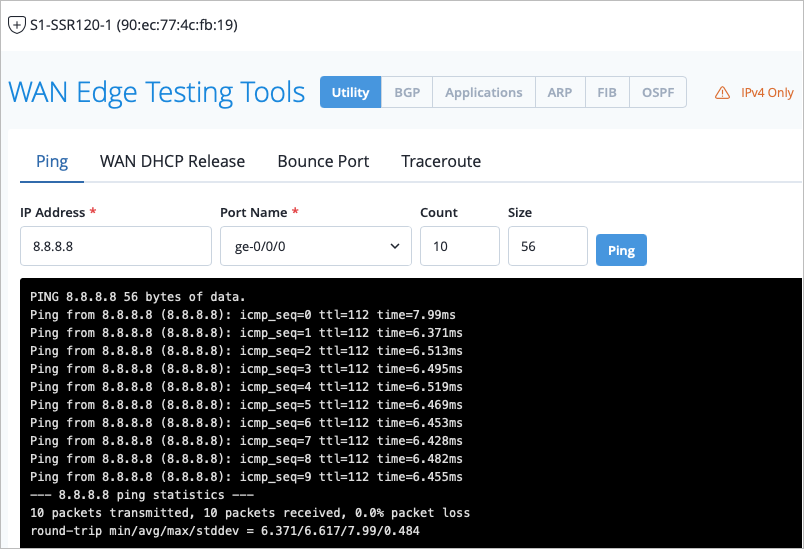 WAN Edge Testing Tools - Ping tool.