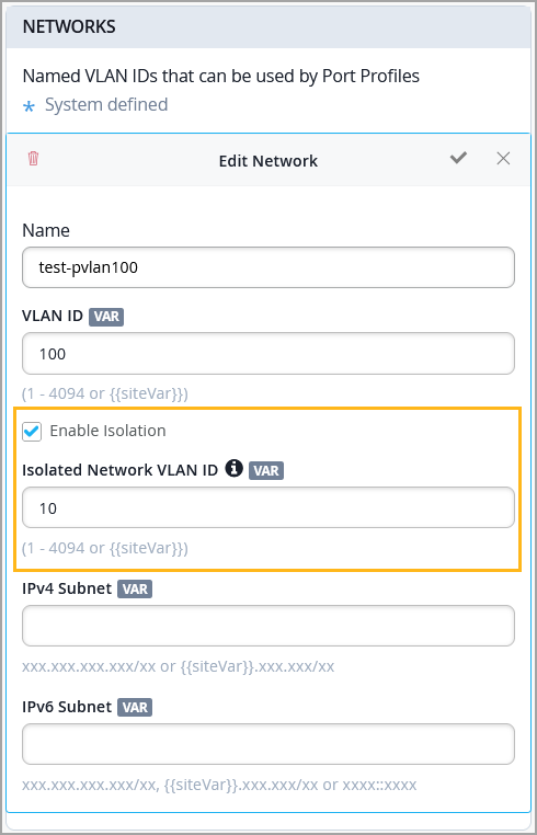 Configuration interface for network setup with fields: Name set to test-pvlan100, VLAN ID set to 100, Isolation enabled, Isolated Network VLAN ID set to 10, empty IPv4 and IPv6 subnet fields.